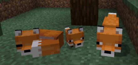 domesticar a un zorro en minecraft